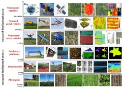 澳门威尼斯人网址：作物表型鉴定研究的系统综述