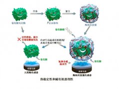 澳门威尼斯人网址：避免了高温和强酸碱条件下的结构变性